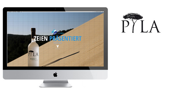 portfolio popup